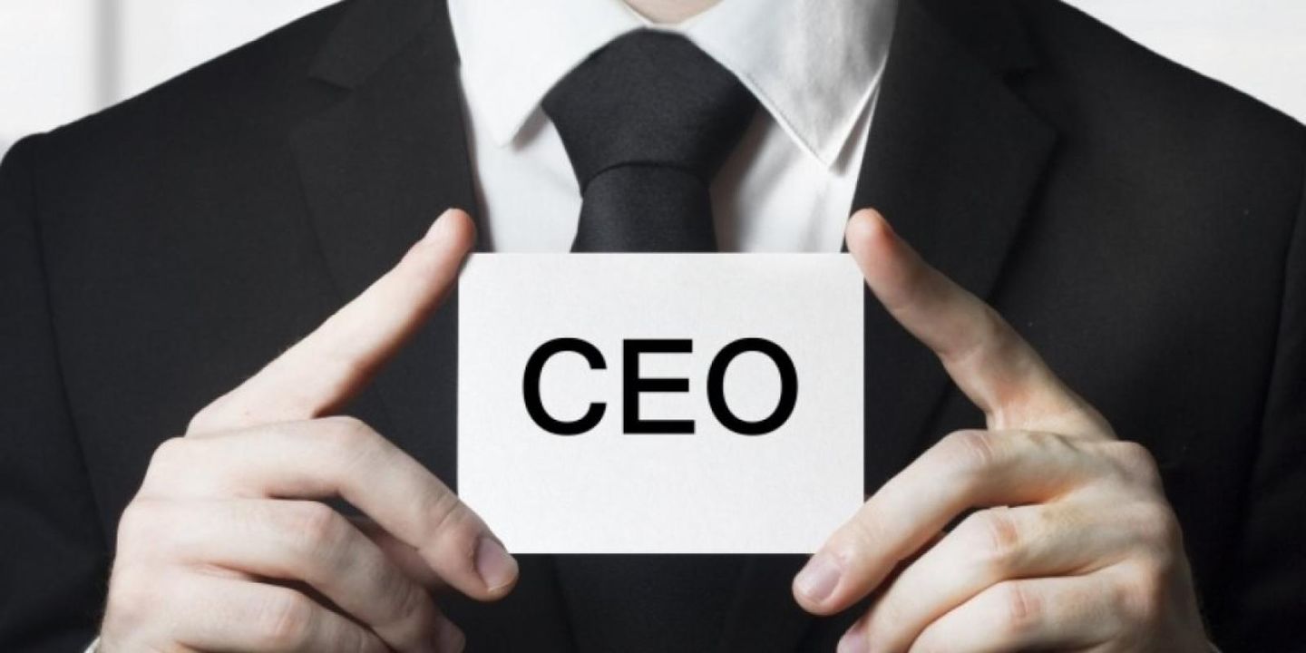 Paid to Fire! Why Ceo Compensation is All Wrong