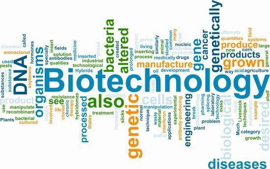 Biotech industry wordle