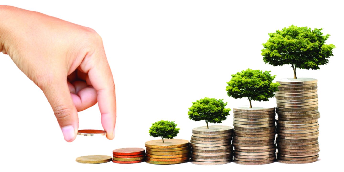 Grow Like (the) Amazon to Succeed – Invest Outside Your “core”
