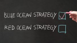 Beyond Blue Ocean Strategy