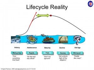 lifecycle slide