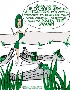 Alligators Gal