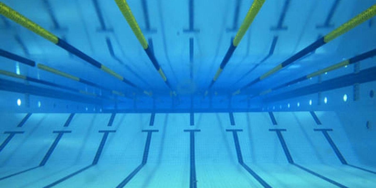 The Only Three Swim Lanes That Matter to a Business