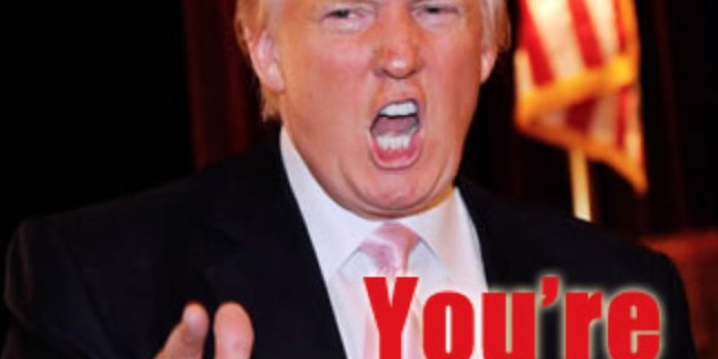 Donald Trump – Why It’s Easier to Be Ceo Than Mayor, Governor or President