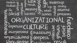 Transforming Organizational Culture In Pursuit of Innovation