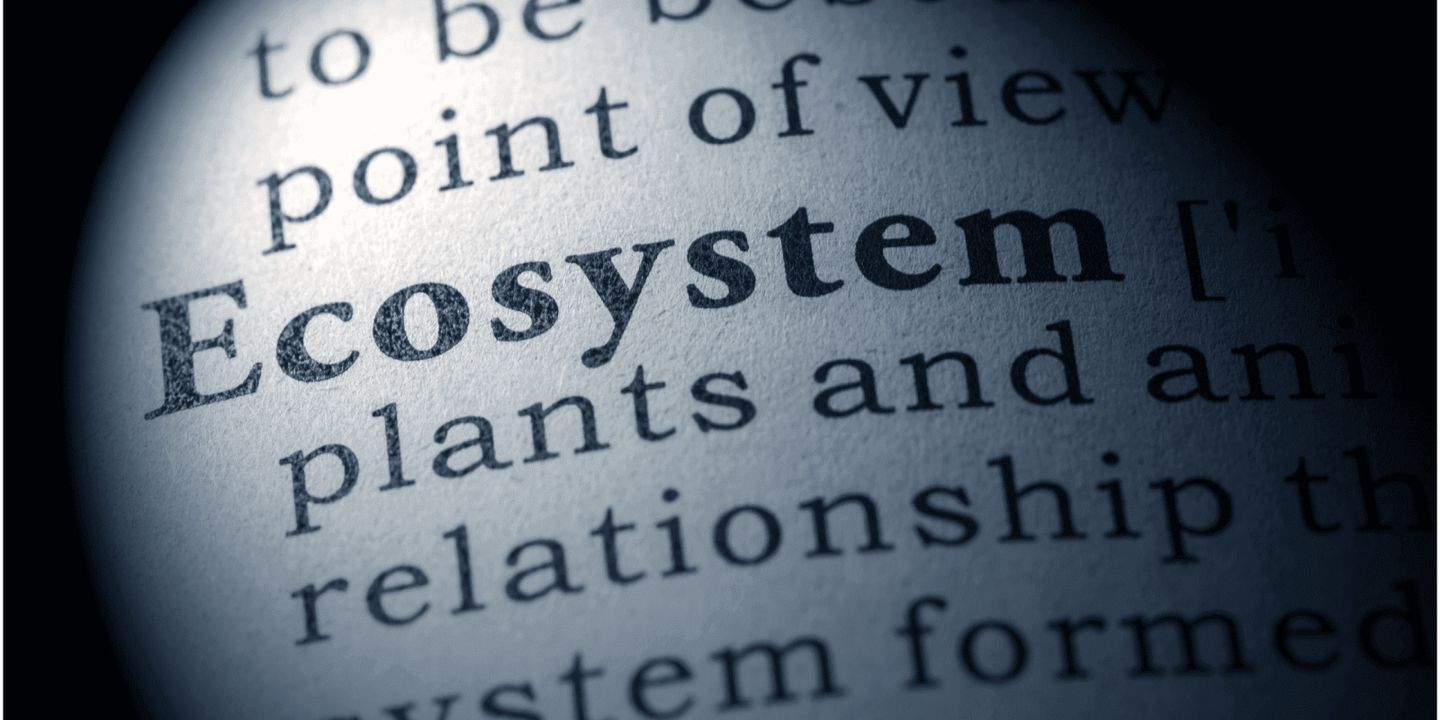 How To Compete In A World Ruled By Ecosystems