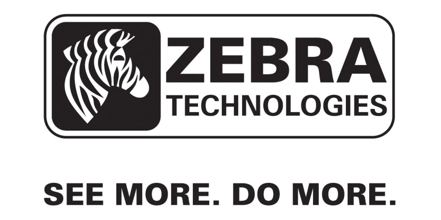 How This Zebra Changed Its Stripes – Bold Move