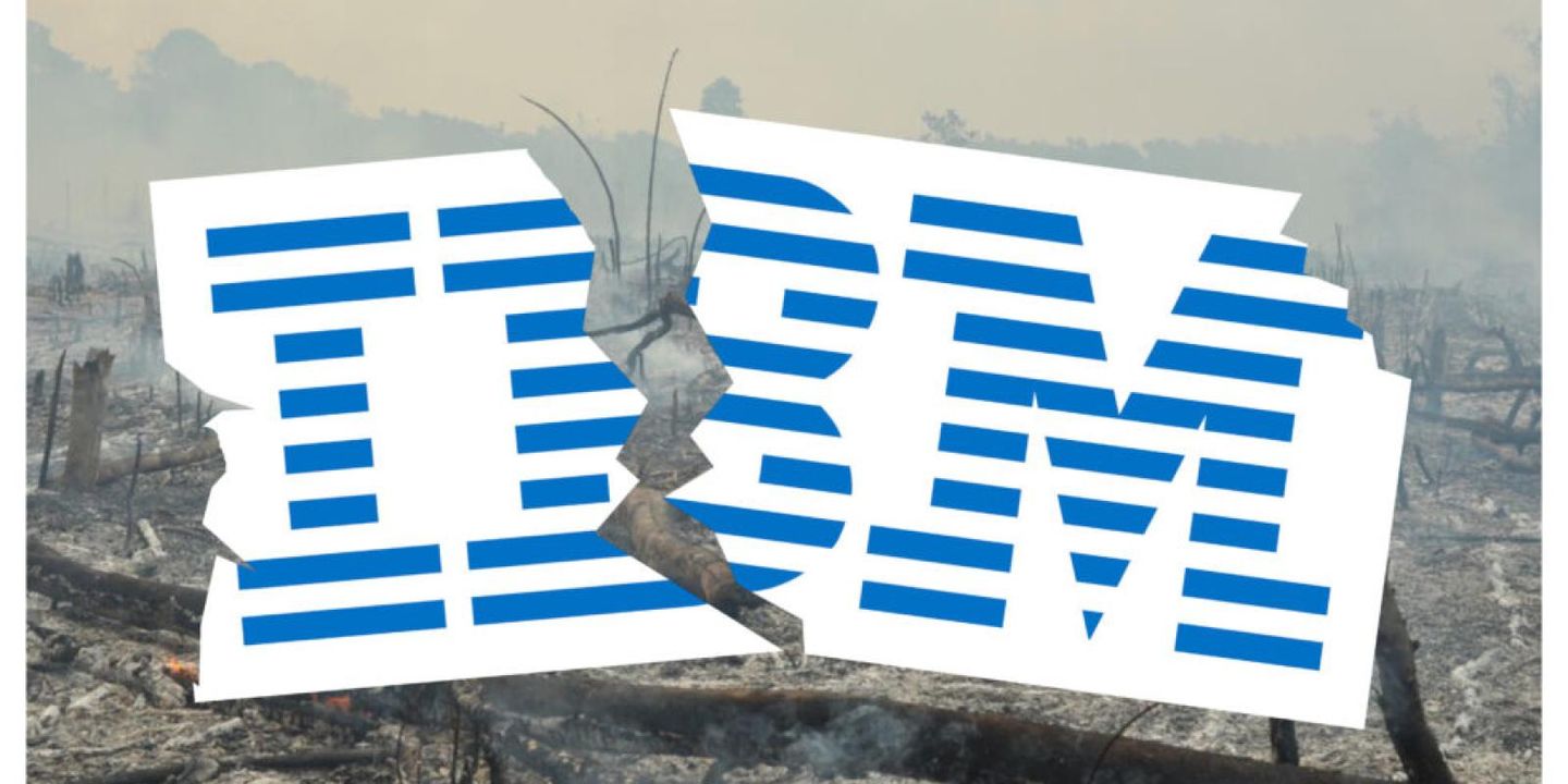 Ibm’s Demise – Why You Can Do Much Better