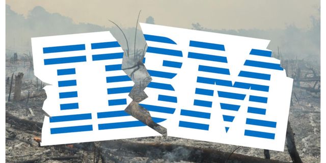Ibm’s Demise – Why You Can Do Much Better