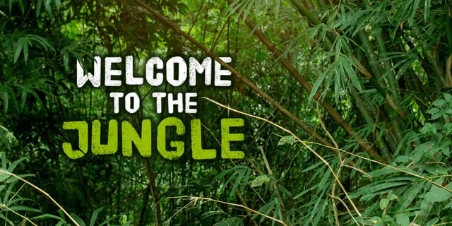 Welcome to the Jungle