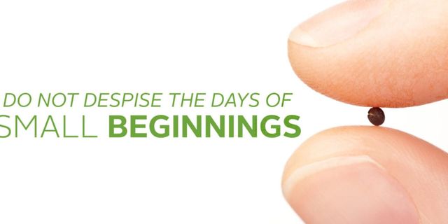 Great Things From Small Beginnings