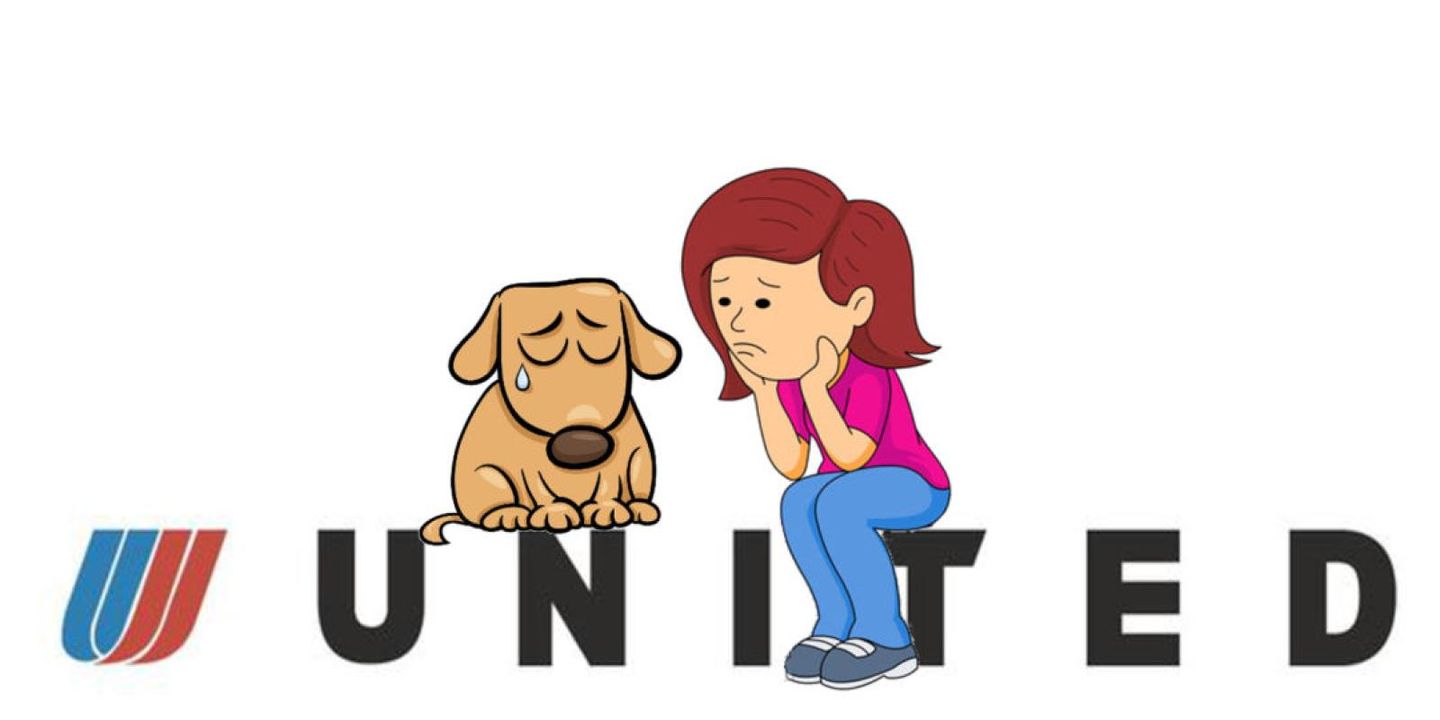 United airlines – how bad strategy created a culture that kills puppies
