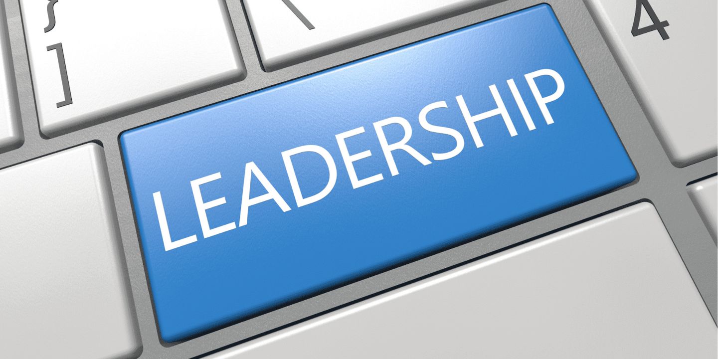 Innovation Strategy And Building Bold Leadership