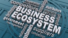 To Drive Innovation, You Must Understand Your Ecosystem