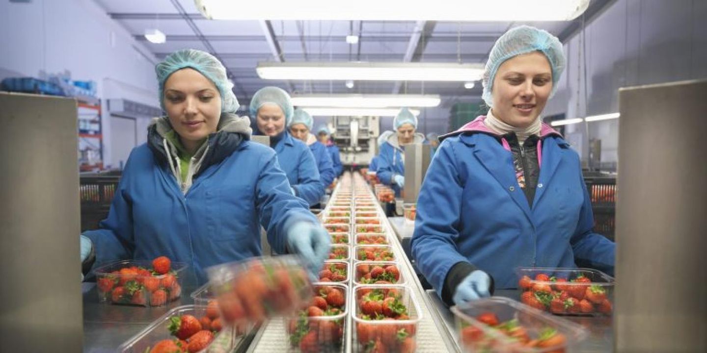 One nation’s move to increase food safety with blockchain