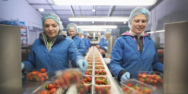 One nation’s move to increase food safety with blockchain
