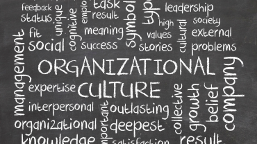 Transforming Organizational Culture In Pursuit of Innovation