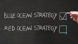  Beyond Blue Ocean Strategy