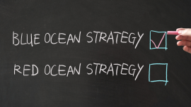 Re-visiting INSEAD and the Blue Ocean Strategy Institute