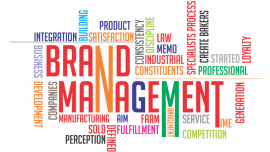 Management Illusions – Brand Management and Mit