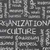 Transforming Organizational Culture In Pursuit of Innovation